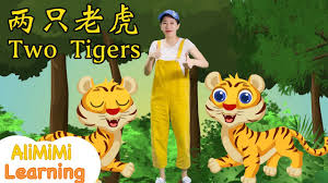 两只老虎
