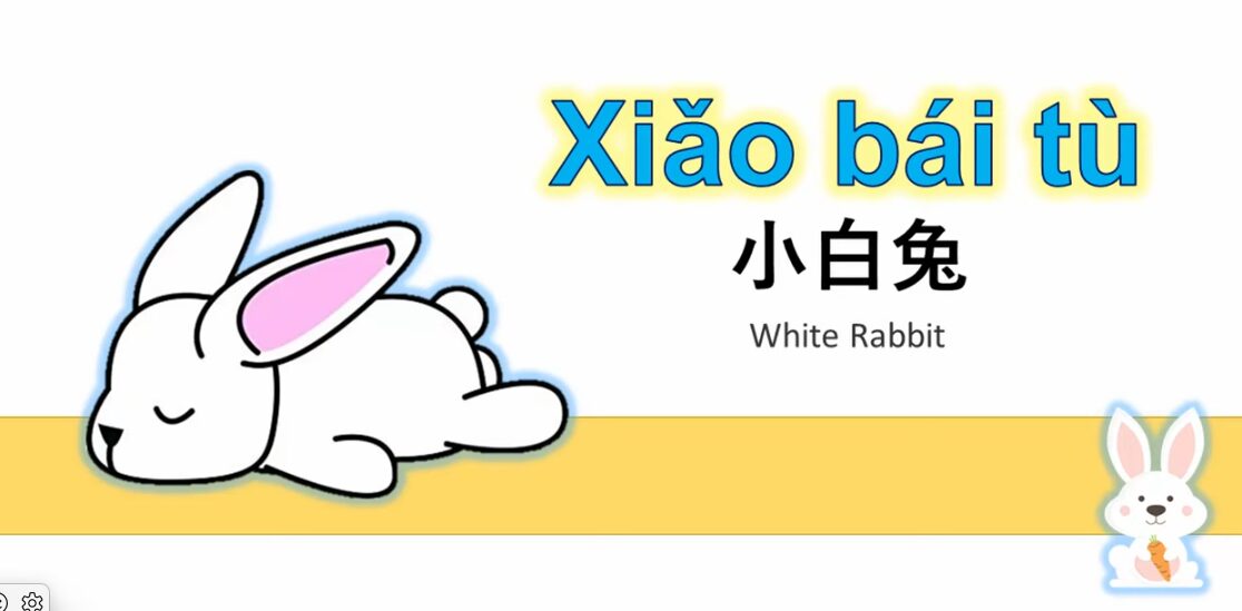 小白兔白又白
