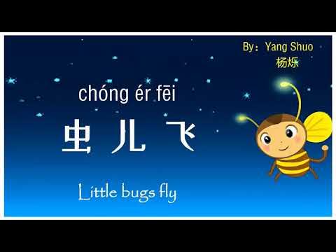 虫儿飞